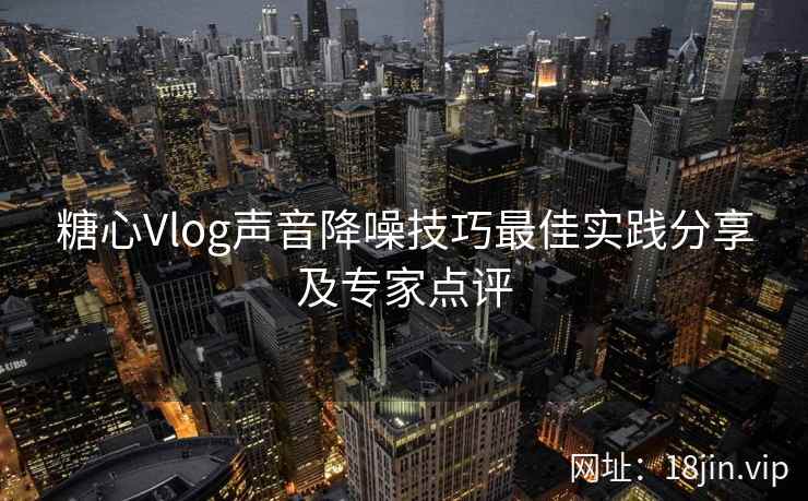 糖心Vlog声音降噪技巧最佳实践分享及专家点评