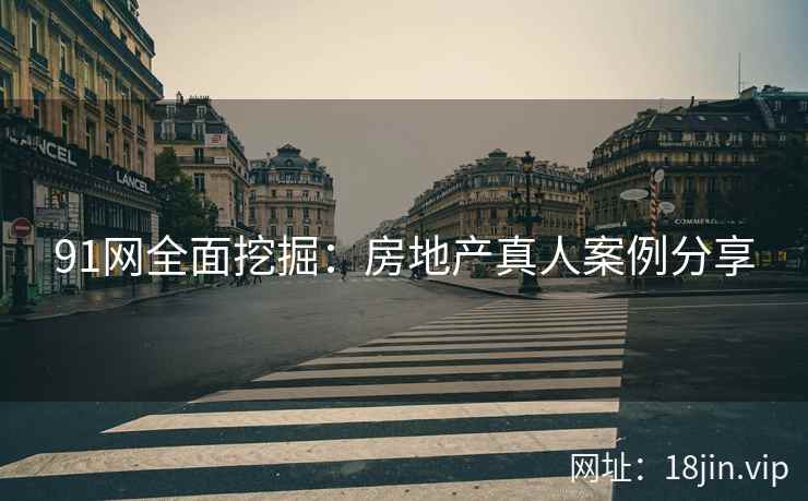 91网全面挖掘：房地产真人案例分享