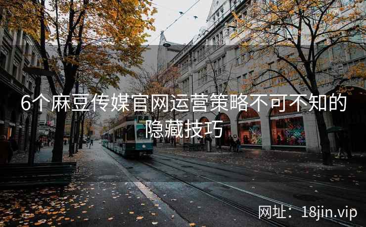 6个麻豆传媒官网运营策略不可不知的隐藏技巧