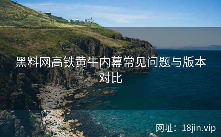 黑料网高铁黄牛内幕常见问题与版本对比