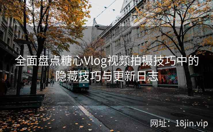 全面盘点糖心Vlog视频拍摄技巧中的隐藏技巧与更新日志